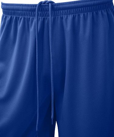 Шорты баскетбольные детские Jogel Camp Basic  JC2SH0121.Z2-K blue