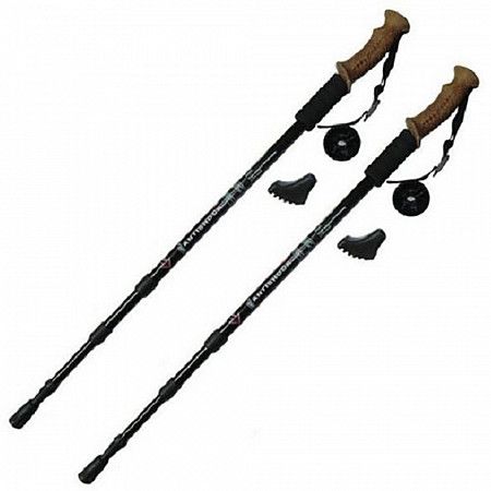 Палки для скандинавской ходьбы H10016-4 black