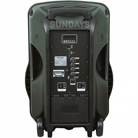 Колонка Eltronic Мeirende 15" динамик 1шт/15" MR-15Ach