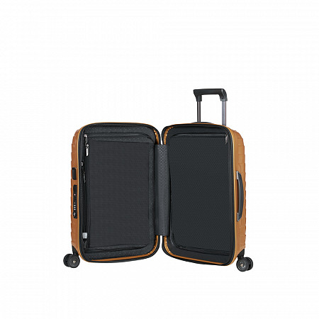 Чемодан Samsonite Proxis 55см CW6*06 001 gold