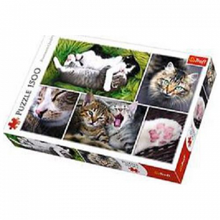Пазл Котята Коллаж 26145
