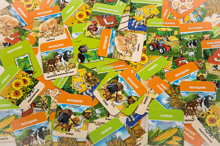 Настольно-печатная игра Blossom Фермер 02001