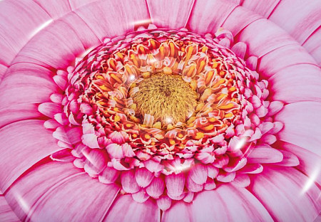 Надувной плот Intex Розовый цветок 142Х142 см 58787