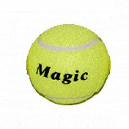 Мяч для большого тенниса Zez Sport TO360