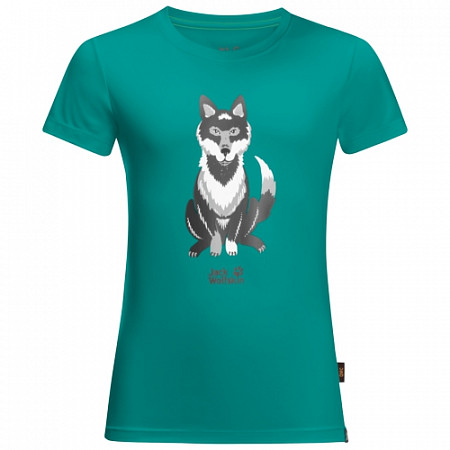 На картинке изображен Футболка детская Jack Wolfskin Wolf T Kids green ocean Футболка детская Jack Wolfskin Wolf T Kids green ocean