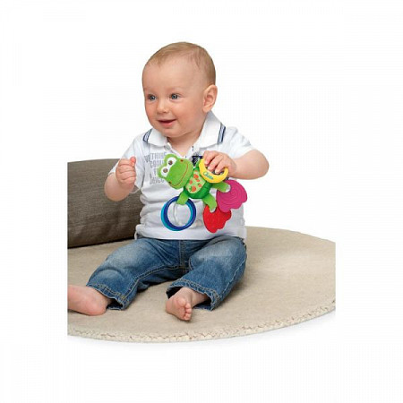 Игрушка-погремушка Chicco Лягушонок 00000906000000