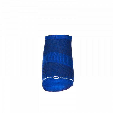 Носки спортивные Body Form 2 пары СН-1 blue