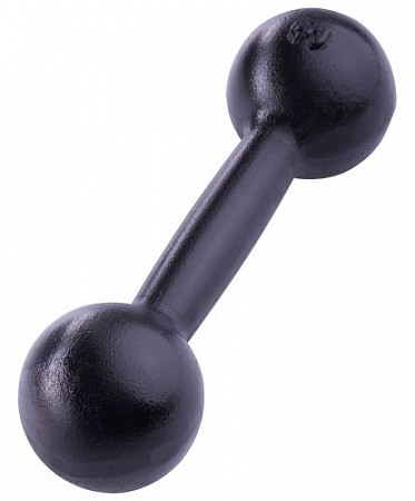 Гантель чугунная 3 кг