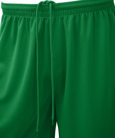 Шорты баскетбольные Jogel Camp Basic JC2SH0121.73 green