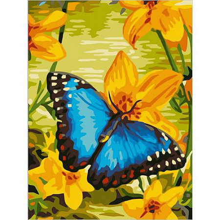 Картина по номерам Picasso Синяя бабочка PC3040013