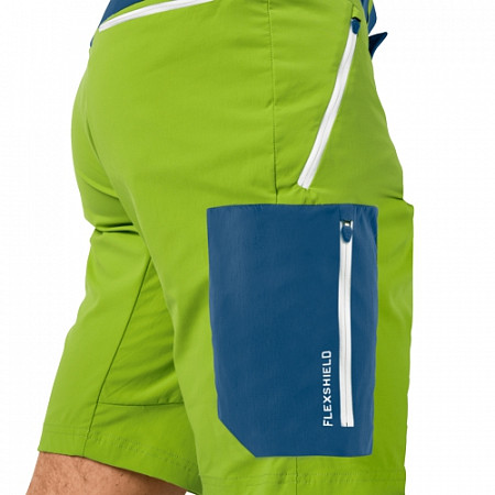 На картинке изображен Брюки мужские Jack Wolfskin Overland Shorts M spring lime Брюки мужские Jack Wolfskin Overland Shorts M spring lime