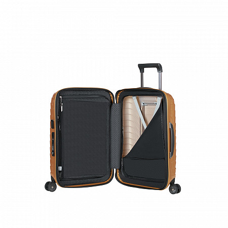 Чемодан Samsonite Proxis 55см CW6*06 001 gold