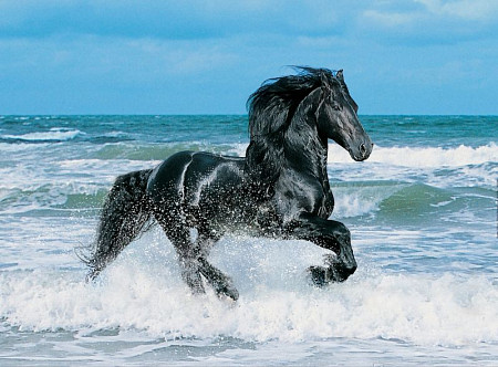 Мозаика Clementoni Черная лошадь 500 эл 30175