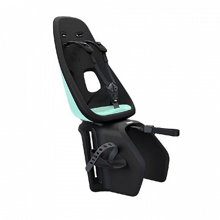 Детское велосипедное кресло Thule Yepp Nexxt Maxi mint (12080215)