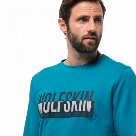 Пуловер мужский Jack Wolfskin Slogan Sweatshirt M blue reef