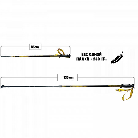 Палки для скандинавской ходьбы RGX  NWS-120 yellow/black