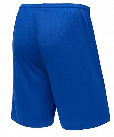 Шорты баскетбольные детские Jogel Camp Basic  JC2SH0121.Z2-K blue