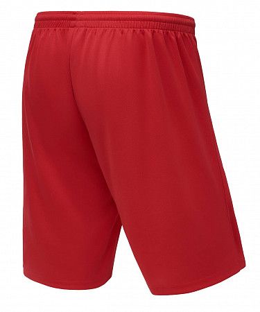 Шорты баскетбольные детские Jogel Camp Basic  JC2SH0121.R2-K red