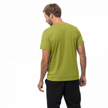 Футболка мужская Jack Wolfskin Ocean T M green tea