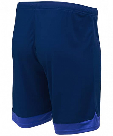 Шорты игровые Jogel DIVISION PerFormDRY Union Shorts dark blue/blue/white