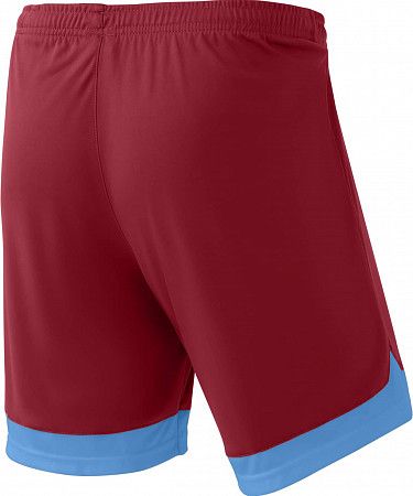 Шорты игровые Jogel DIVISION PerFormDRY Union Shorts garnet/blue/white