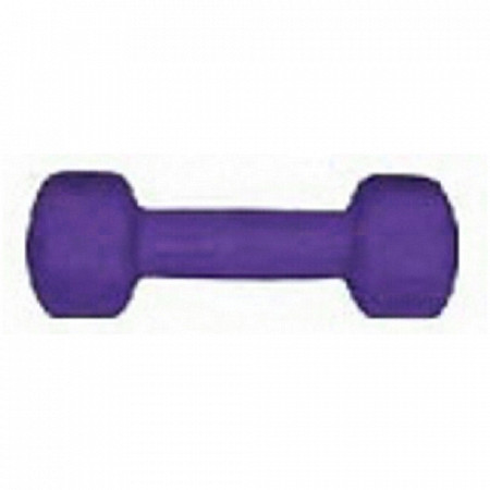 Гантель неопрен/винил 2 кг purple