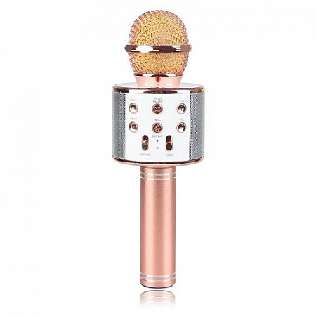 Колонка с функцией Караоке Микрофона Wster WS-858 pink gold