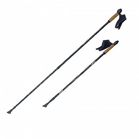 Палки для скандинавской ходьбы RGX NWS-111 black