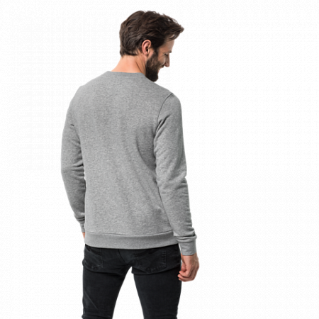 Пуловер мужский Jack Wolfskin Slogan Sweatshirt M light grey
