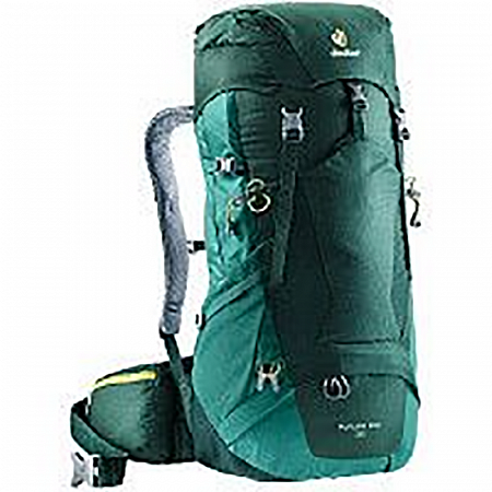 Рюкзак Deuter Futura Pro 36L forest-alpinegreen