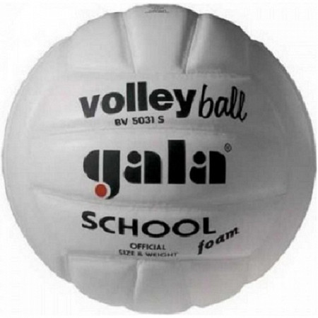 Мяч волейбольный Gala School Foam white BV5031SB