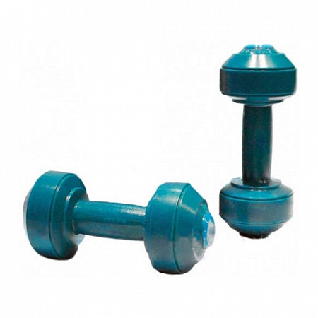 Гантели 0,5 кг в упаковке СФ50536