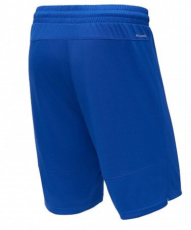 Шорты баскетбольные Jogel PerformDry Division Star blue