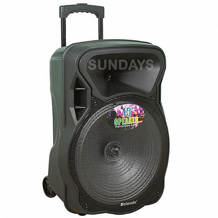 Колонка Eltronic Мeirende 15" динамик 1шт/15" MR-15Ach