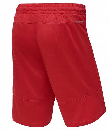 Шорты баскетбольные Jogel PerformDry Division Star red