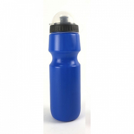 Бутылка для воды Ausini 550 мл VT19-11321 blue