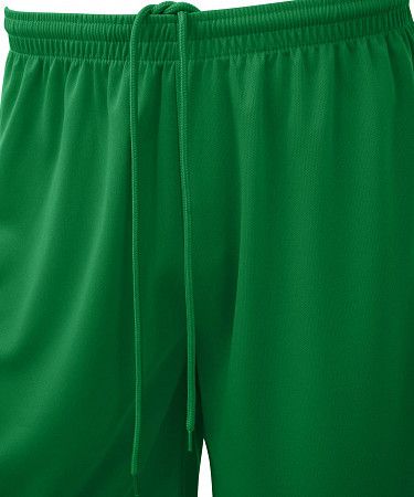 Шорты баскетбольные детские Jogel Camp Basic JC2SH0121.73-K green