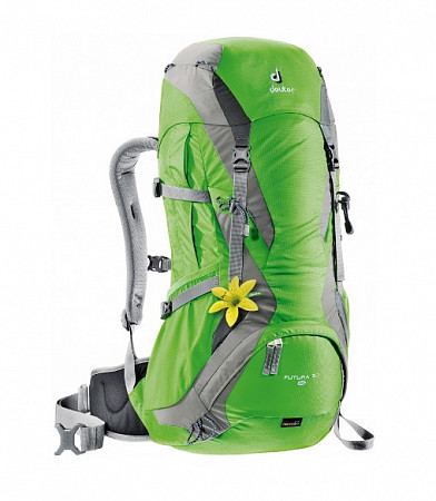 Рюкзак Deuter Futura 30 spring-silver