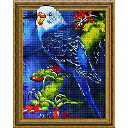 Алмазная мозаика 5D Picasso Волнистый попугай 5PD4050005