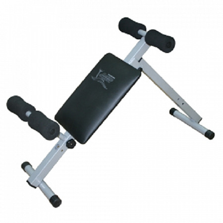 На картинке изображен Скамья для пресса и спины Absolute Champion Скамья для пресса и спины Absolute Champion