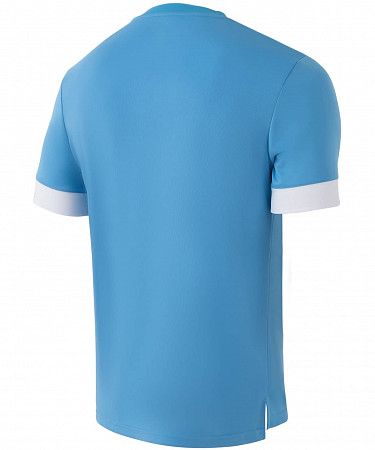 Футболка игровая Jogel DIVISION PerFormDRY Union Jersey blue/white