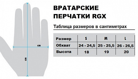 Перчатки вратаря RGX RGX-GFB03 black/orange