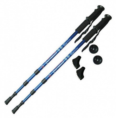 Палки для скандинавской ходьбы H10015-1 blue