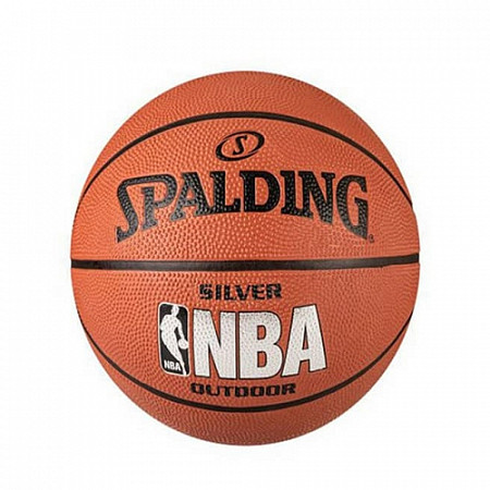 Мяч баскетбольный Spalding NBA Ser I/O №5 83-014Z silver