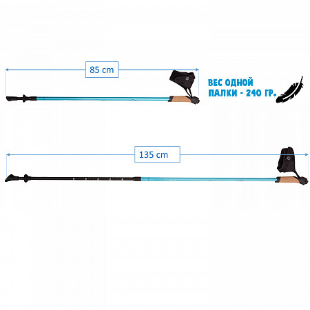 Палки для скандинавской ходьбы RGX NWS-114 light blue
