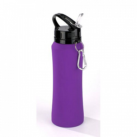 Бутылка для воды Colorissimo HB02PR Purple