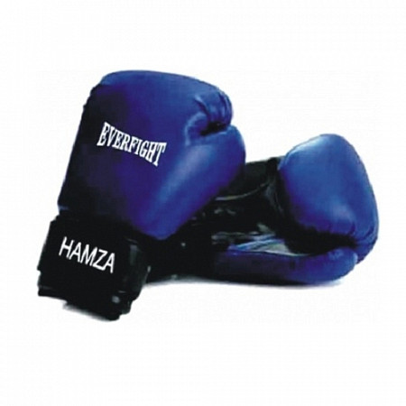 Перчатки боксерские Everfight EGB-538 Hamza blue