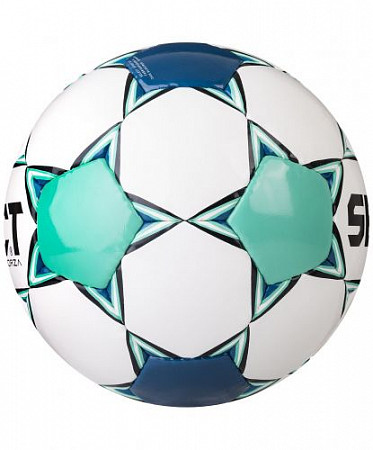 Мяч футбольный Select Forza №5