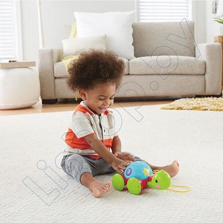 Игрушка каталка Fisher Price Черепашка Y8652