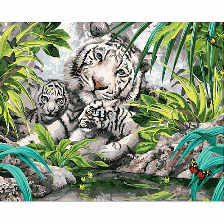 Картина по номерам Picasso Бенгальские тигры PC4050100